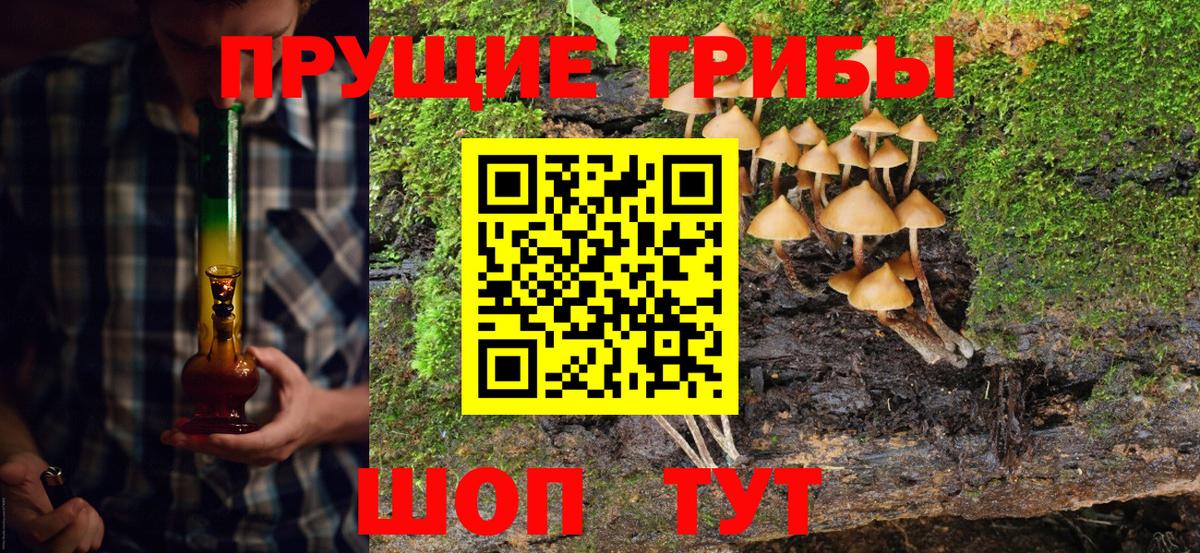 дарнет шоп  Вход с VPN  Галлюциногенные грибы мицелий  Усть-Джегута  Галлюциногенные грибы MAGIC MUSHROOMS 